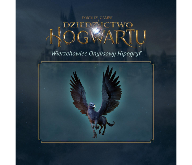 Switch Dziedzictwo Hogwartu - 1100273 - zdjęcie 3